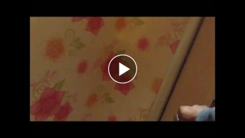 สาวสุดสวยโดนฝรั่งเปย์มาเปิดโรงแรมเย็ดแตกใน